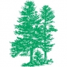 forestecologynetwork.jpg