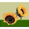 gardenspotfarm.jpg