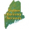 goldenforestry.jpg