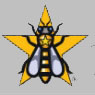 goldstarhoneybees.jpg