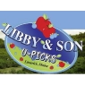 libbysonupicks.jpg