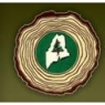 maineforest.jpg