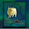 mainehighlandcattle.jpg