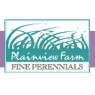 plainviewfarm.jpg