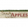 sandyriverapples.jpg