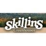 skillins.jpg