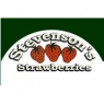 stevensonsstrawberries.jpg