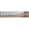 bates.jpg
