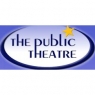 thepublictheatre.jpg