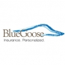 bluegoosemaine.jpg