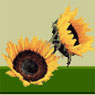 gardenspotfarm.jpg