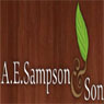 aesampsonandson.jpg