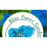 bluepoppygarden.jpg