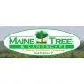 mainetreeandlandscape.jpg