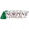 norpinelandscape.jpg
