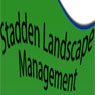 staddenlandscape.jpg
