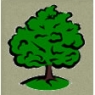 timbertaken.jpg