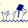 littledolphinschool.jpg