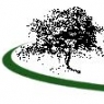 waterborolibrary.jpg