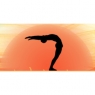 centralstreetyoga.jpg