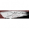 davids388.jpg