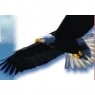 eagleslodge.jpg