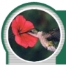 ellsworthhummingbirdhideawaycottage.jpg